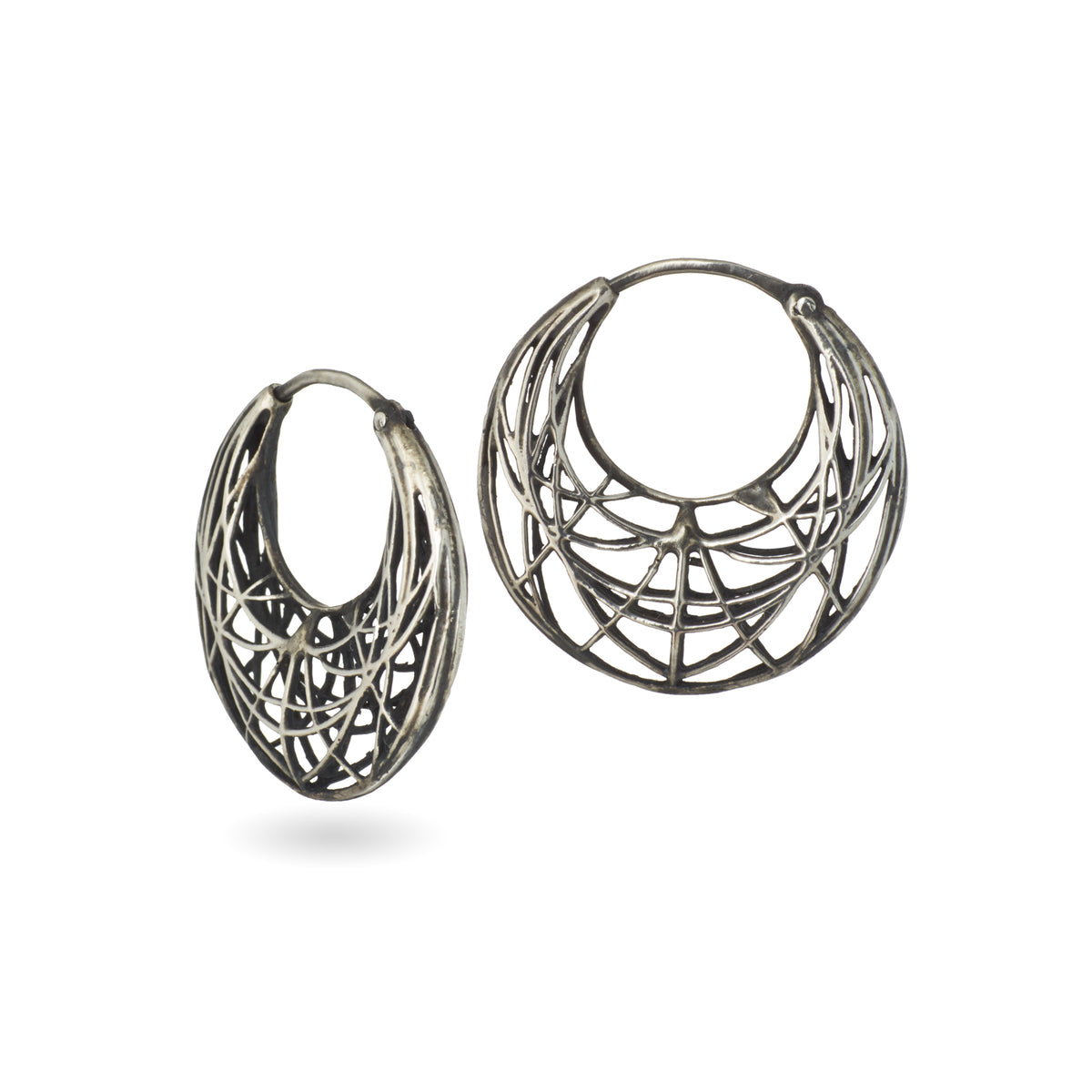 linea hoops